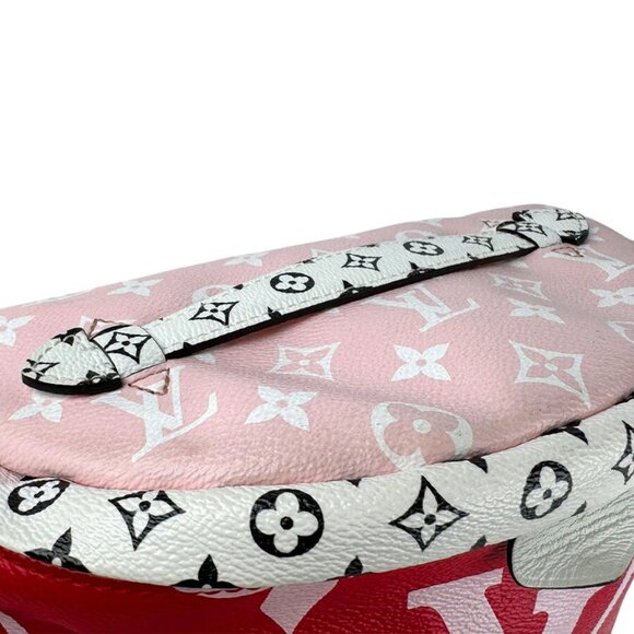 LOUIS VUITTON Giant Monogram Bum Bag Body Bag Waist Bag - Picture 8 of 14